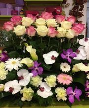 ETAMINE FLEURS image 17