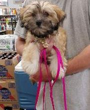 Southgate Liquors image 11