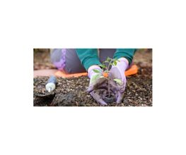 Jorys espaces-verts image 3