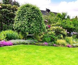 Le jardin de Paul image 1