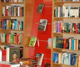 Bücher Schwalbe Bild 17