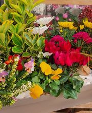 Rambert Fleurs image 16