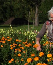 Blumen-Gärtnerei Müller Bild 1