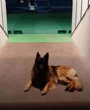 Primus Sicherheitsdienst Bild 6