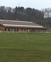 Pferdepensionsstall Bild 5