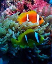 Supervision & Coaching Seraina Bracher Bild 2