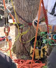 Spycher Baumpflege GmbH Bild 10