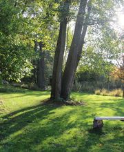 Métamorphose image 10