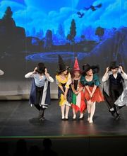 Ballettschule Petra Tinnes Bild 4