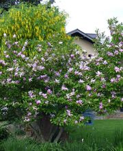 Walter Schmitz Gärten für Auge und Seele Bild 15