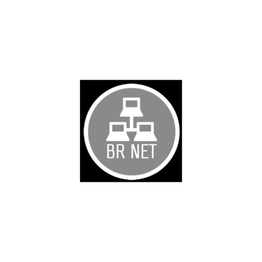Br Net logo