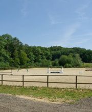 Cheval Nature image 2