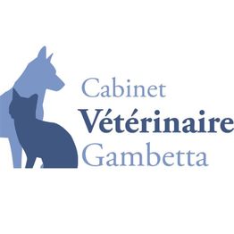 Cabinet Vétérinaire Gambetta