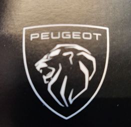 Peugeot Garage Nickel Agent