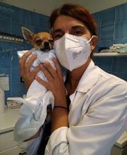 Ospedale Veterinario Ardenza immagine 2