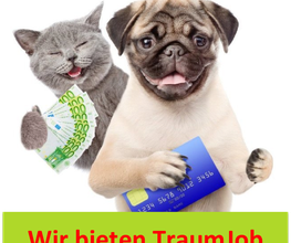 Mein Pfotenglück - Gesundes ANIfit Hundefutter & Katzenfutter Bild 3