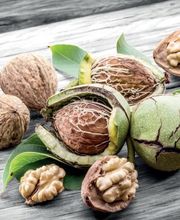 Sté Les Vergers Des Coteaux Du Périgord image 1