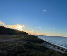 Super Hundeurlaub Bild 6