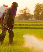 José Manzanares SL imagen 2