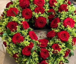 Blumen Sebastian Stransky Bild 3