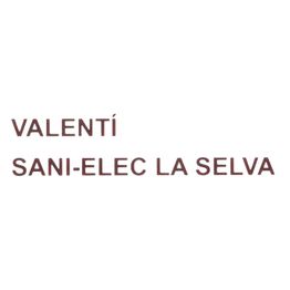 logo valenti sani elec.png