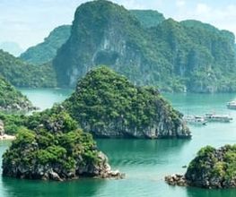cezanne_3_740x1340_vietnam.jpg