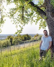 Weinproben