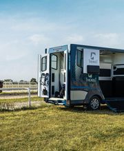 Vans Theault image 5