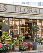 Les Floralies image 2