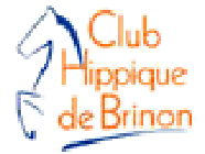 Club Hippique De Brinon Sur Sauldre