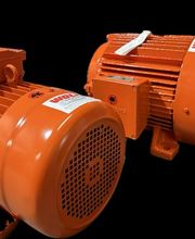 Wolf-Service Bild 10