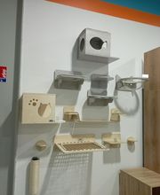 ZOOMALIA Saint-Maixent - Azay 79 | Animalerie image 20