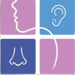 Freedman ENT Downriver