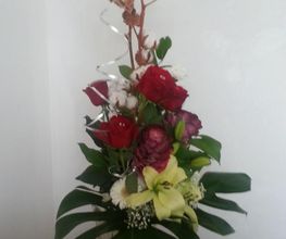 Ros'Eglantine image 5