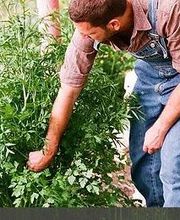 Association Travail Partage image 3