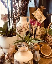La Delicatesse image 14