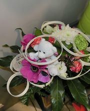 Nature Enchantée image 9