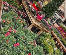 JARDILAND image 11