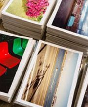 WolfMediaPress Bild 5