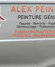 Alex Peinture image 5