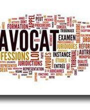 Michel Magali image 3