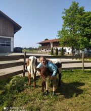 Marinus Eberharter Feinkost Bild 3