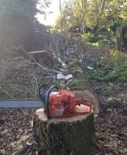 Vertical'Elagage image 3