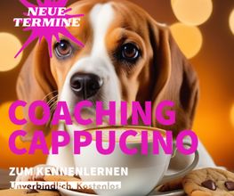SPARK Coaching & Consulting Christina Wolff e.K. Bild 2