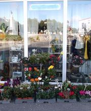 Arc En Fleurs image 1