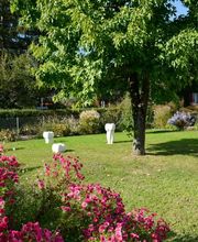 Cabinet Dentaire Tamara Passeraub Bild 5