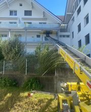 Umzugscenter Haefeli GmbH Bild 1