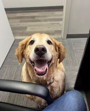 Jeff Millerd - State Farm Insurance Agent image 14