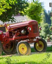 Camping la Ferme de Perdigat image 4