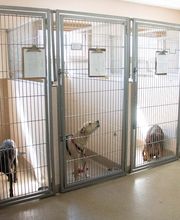 Three Trails Animal Hospital image 11